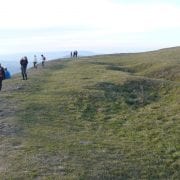 AVE_Exkursion_N_rdlinger_Ries_2010_Bild9