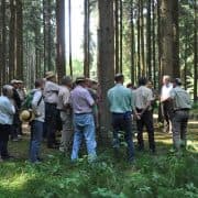 AVE_Waldbegang_Kirchoetting_mit_WBV_07-2013_Bild_5