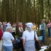 AVE_Wanderung_Keltenschanzen_W_rth_ED_April_2012_Bild_9